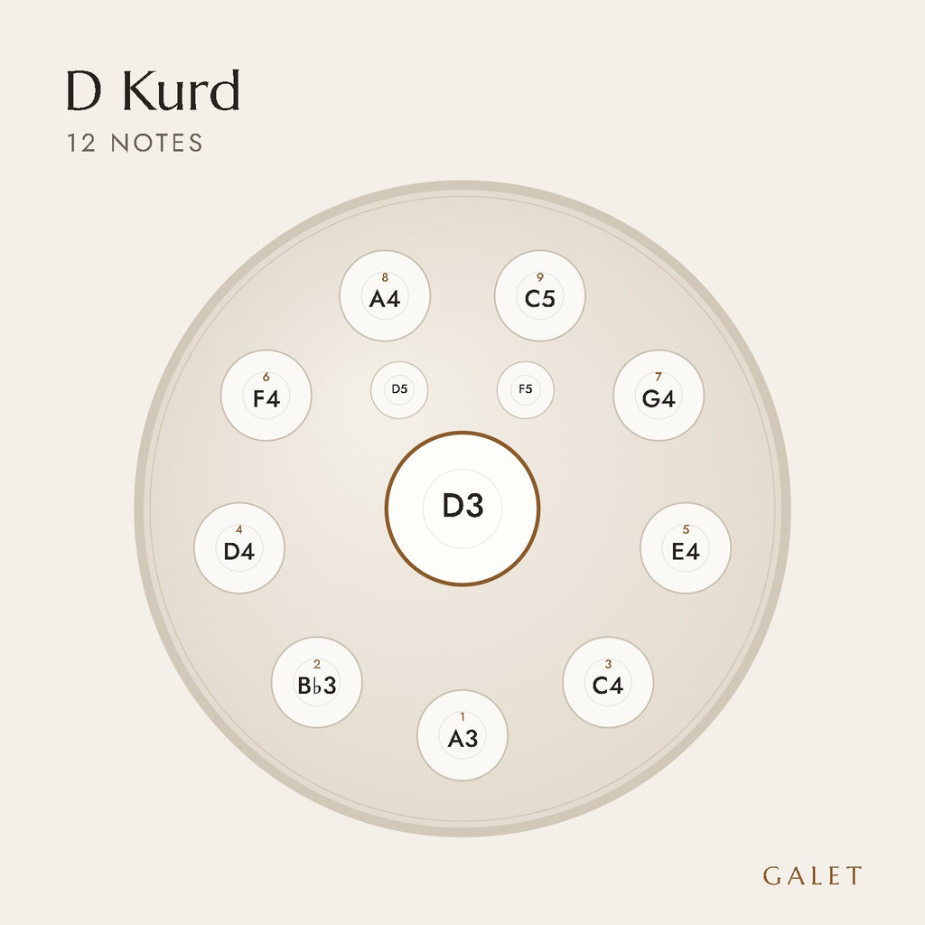 Anordnung der 12 Töne des Handpans in D Kurd