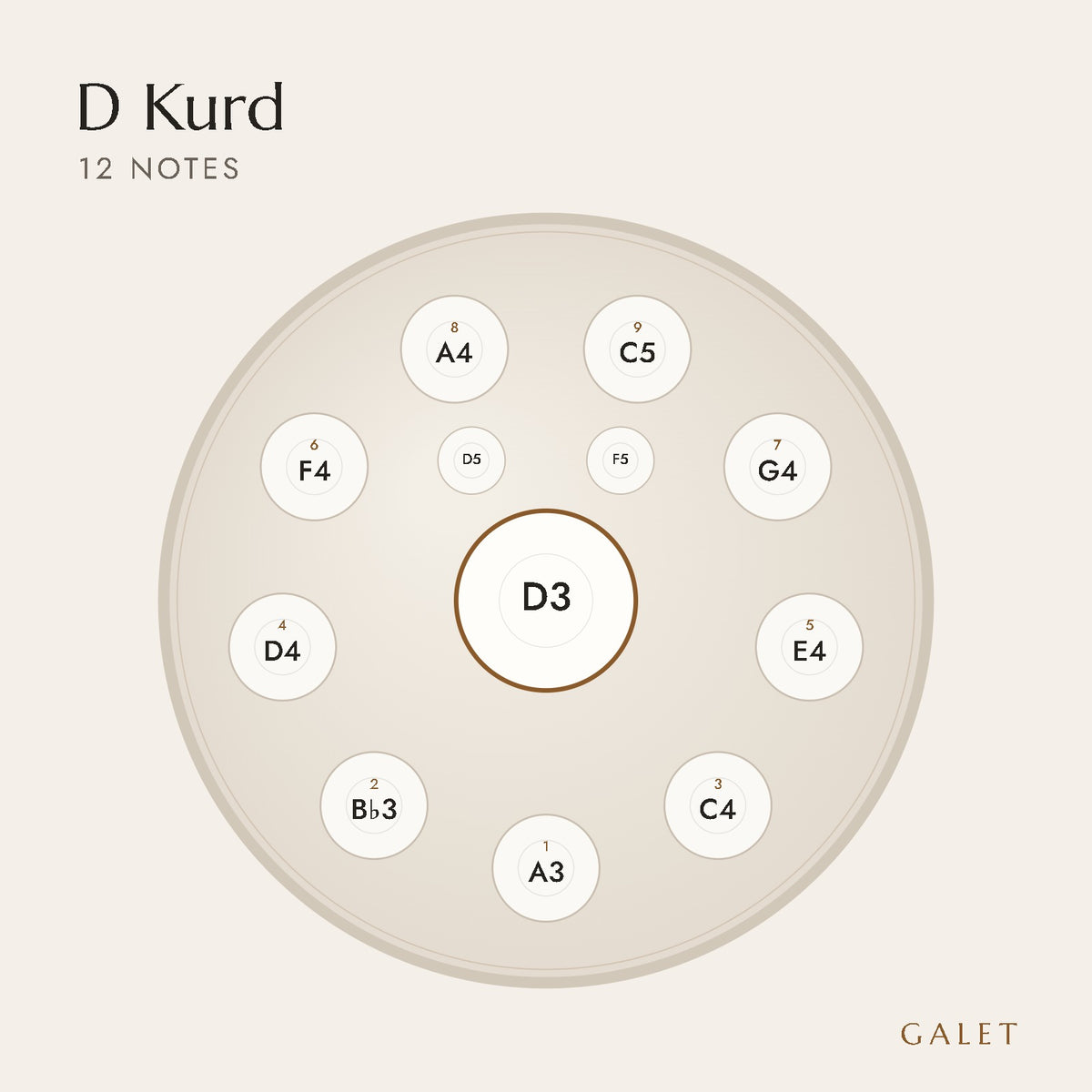 Anordnung der 12 Töne des Handpans in D Kurd