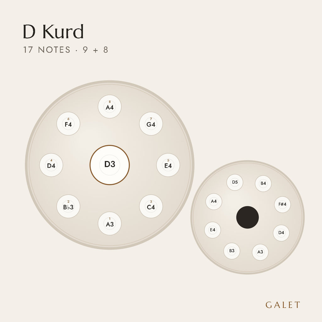 Anordnung der 17 Töne des Handpans in D Kurd (beidseitig)