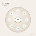 Anordnung der 9 Töne des Handpans in D Kurd