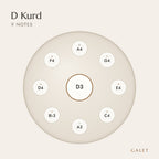 Anordnung der 9 Töne des Handpans in D Kurd